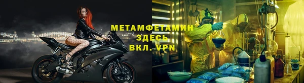 прущие грибы Наволоки