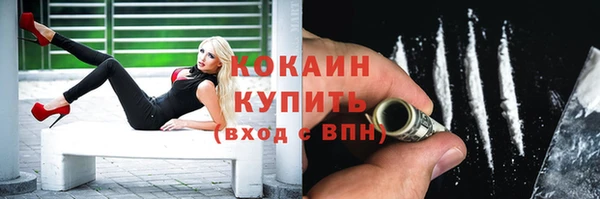 дживик Навашино