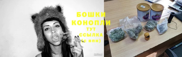 винт Надым