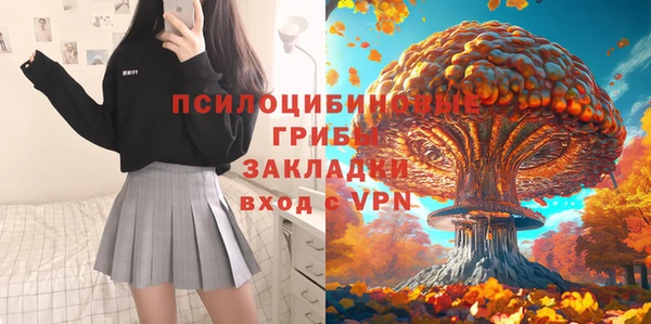 экстази Переславль-Залесский