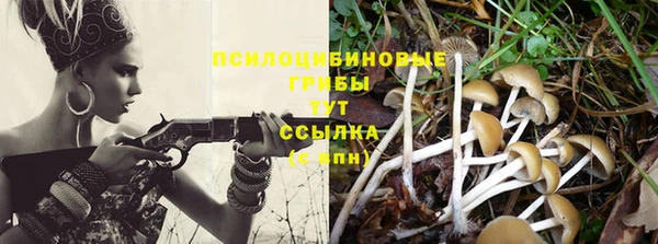 героин Пересвет
