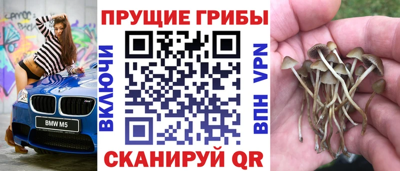 Псилоцибиновые грибы GOLDEN TEACHER  Островной 
