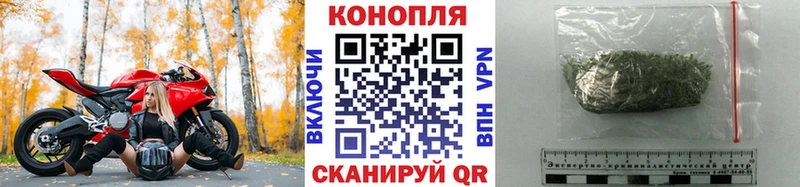 Бошки Шишки ГИДРОПОН Островной